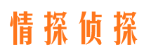 洛南市私人侦探